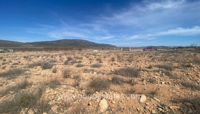Terrain - Terrain - Revente - Pinoso - Pinoso Centro