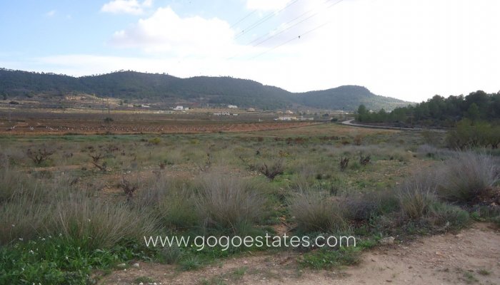 Terrain - Terrain - Revente - Pinoso - Pinoso Centro