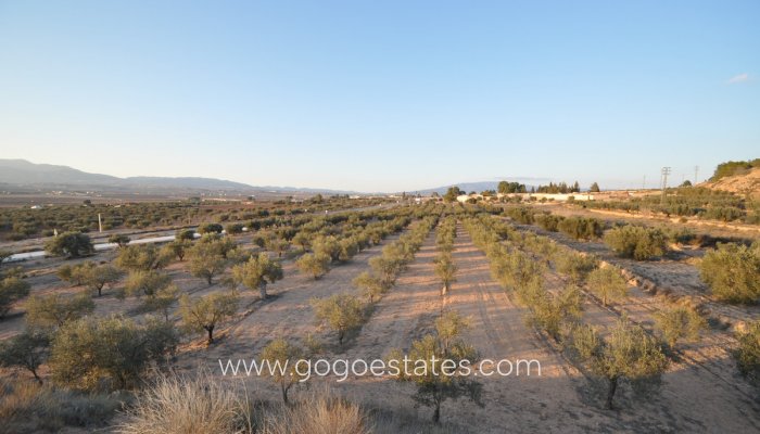 Terrain - Terrain - Revente - Pinoso - Pinoso Centro