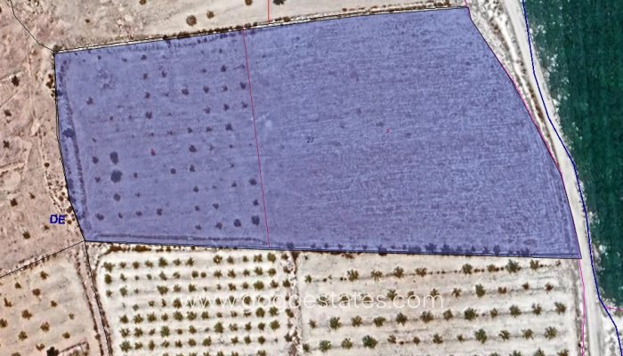 Terrain - Terrain - Revente - Pinoso - Pinoso Centro