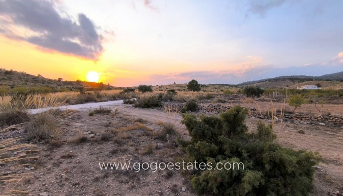 Terrain - Terrain - Revente - Pinoso - Pinoso Centro