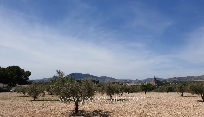 Terrain - Terrain - Revente - Sax - Sax Centro