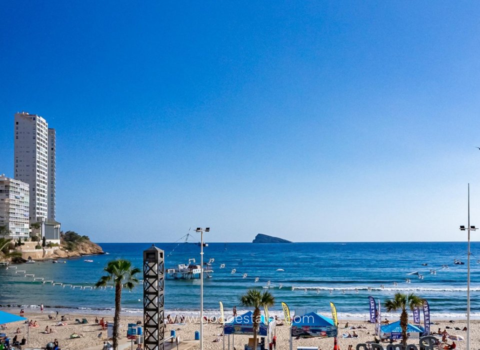 Venta - Apartamento - Apartamento Planta Media - Benidorm - Benidorm Centro