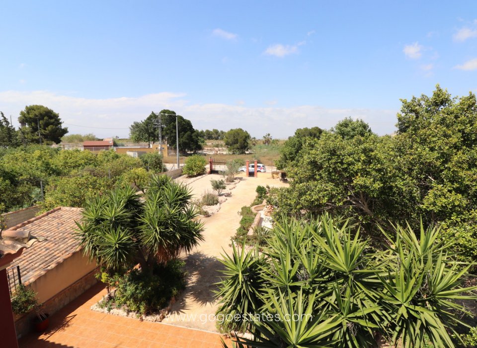 Venta - Casa - Chalet Independiente - Algorfa - Algorfa Centro