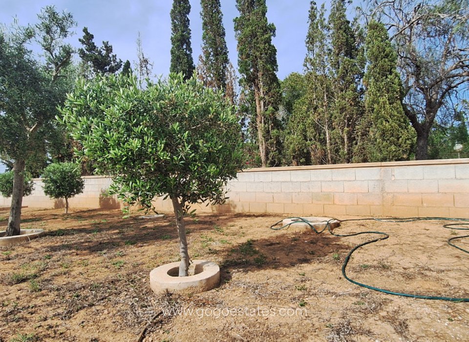 Venta - Casa - Chalet Independiente - Elche - Elche Centro