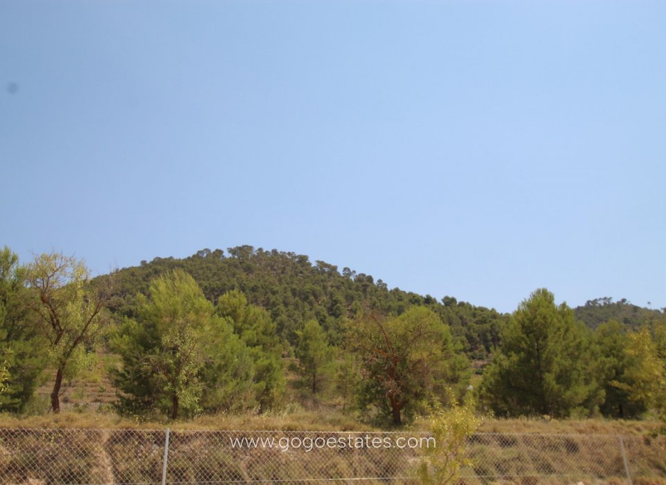 Venta - Casa - Chalet Independiente - Pinoso - Pinoso Centro