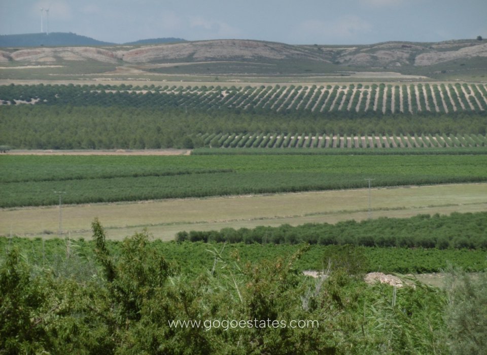 Venta - Casa - Chalet Independiente - Yecla - Yecla Centro