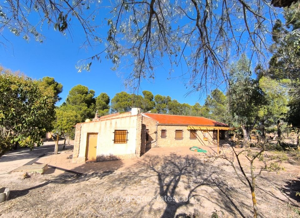 Venta - Casa - Chalet Independiente - Yecla - Yecla Centro