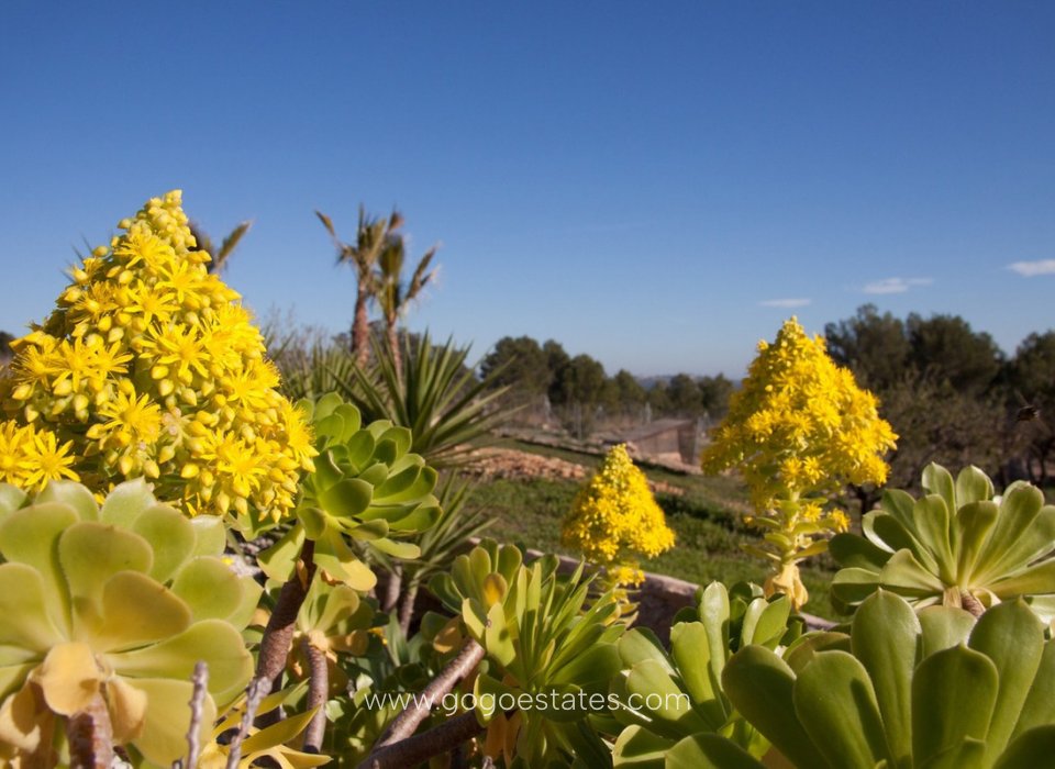 Venta - Casa - Finca - Cortijo - Benissa - Benissa Centro