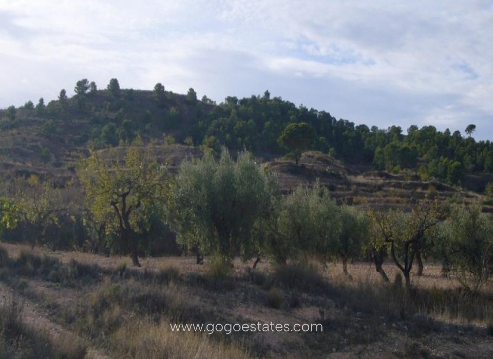 Venta - Casa - Finca - Cortijo - Murcia - Macisvenda