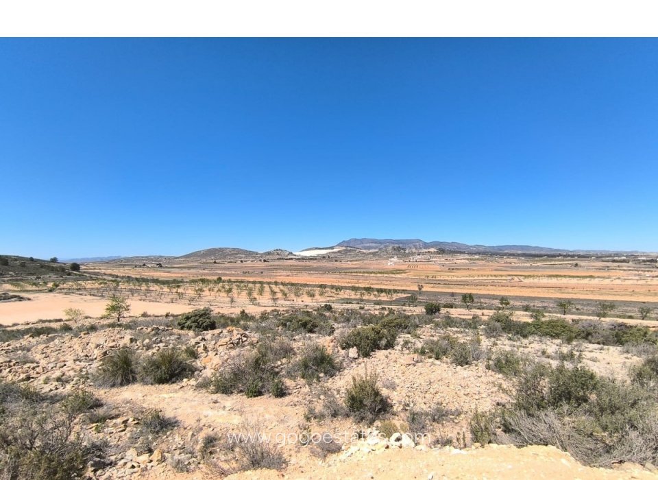 Venta - Casa - Finca - Cortijo - Pinoso - Pinoso Centro