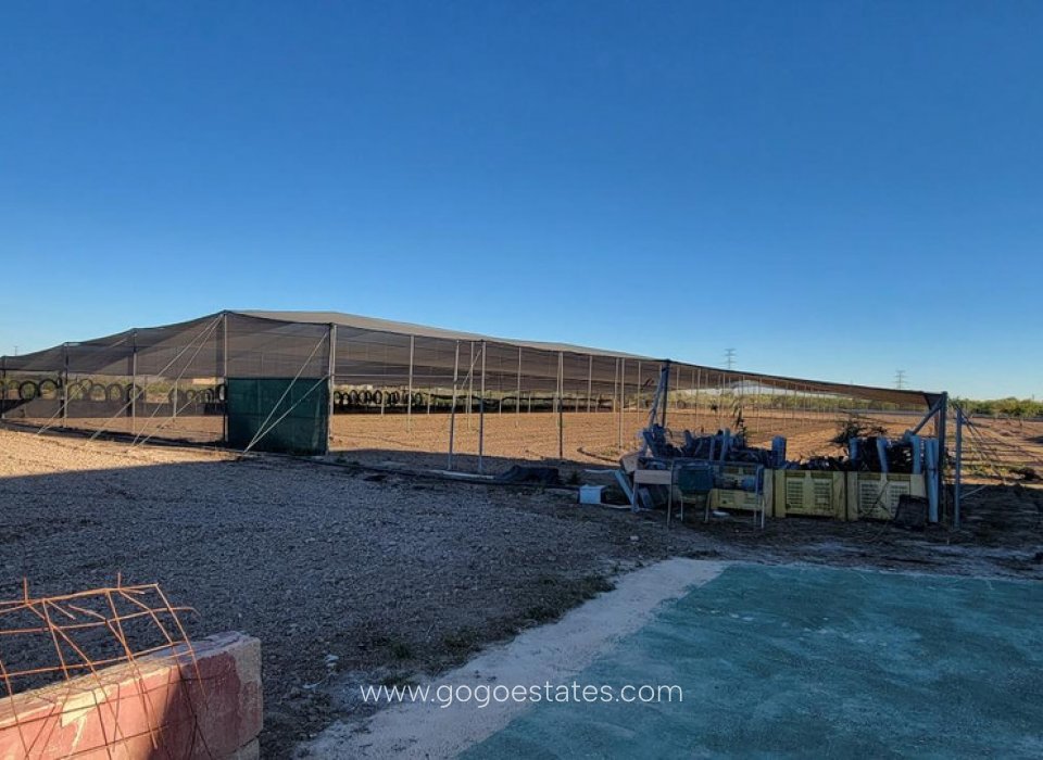 Venta - Casa - Finca - Cortijo - San Miguel De Salinas - San Miguel de Salinas Centro