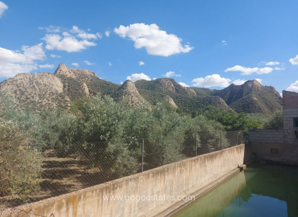 Venta - Finca rústica - Beas de Guadix - Bacor