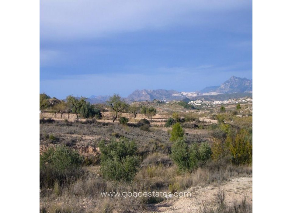 Venta - Finca rústica - Murcia - Macisvenda