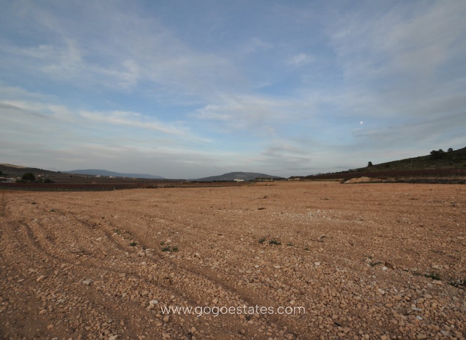 Venta - Parcela - Jumilla - Cañada del Trigo