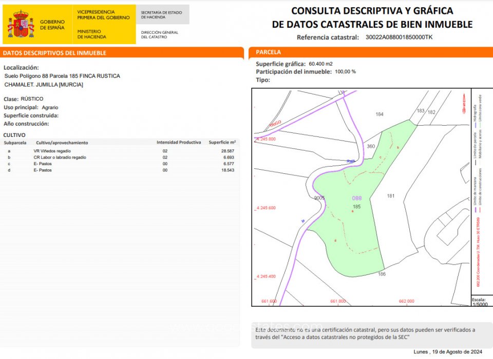 Venta - Parcela - Jumilla - Jumilla Centro