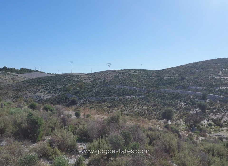 Venta - Parcela - Lorca - Corredera