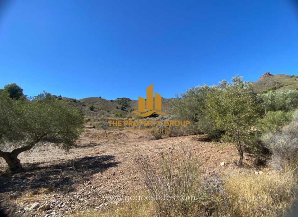 Venta - Parcela - Lorca - Jerónimo Santa Fe