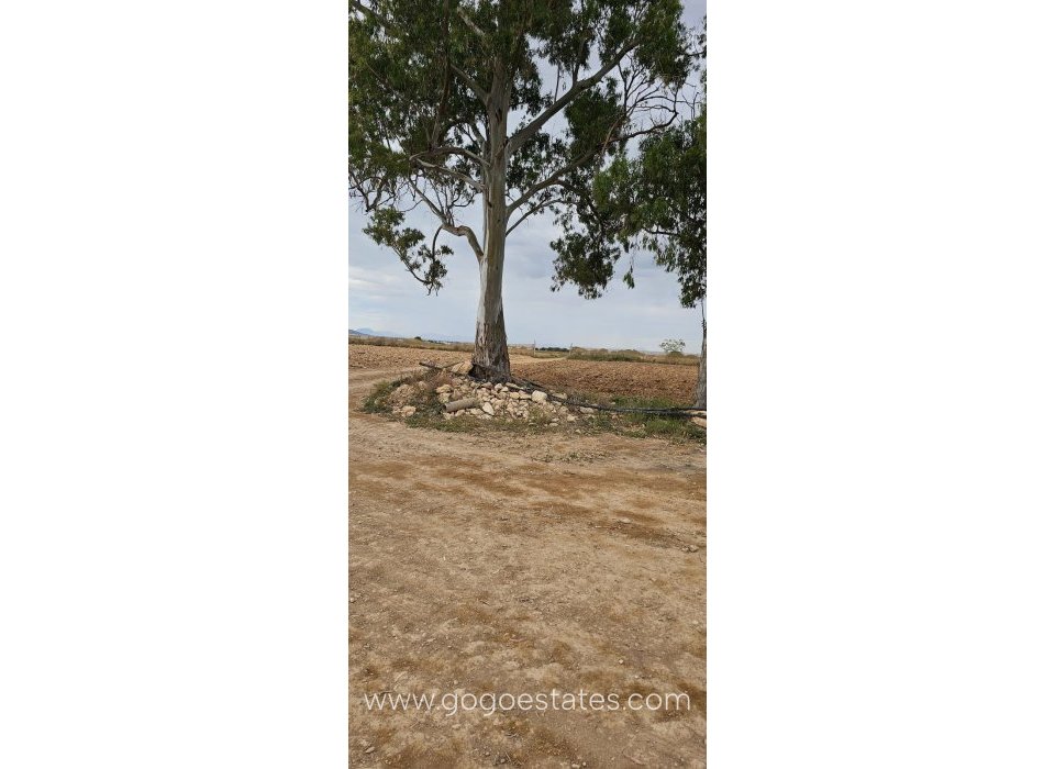 Venta - Parcela - Parcela Comercial - Murcia - Balsicas