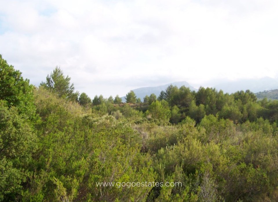 Venta - Parcela - Parcela residencial - Benissa - Benissa Centro