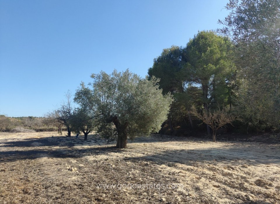 Venta - Parcela - Parcela residencial - Orihuela - Torremendo