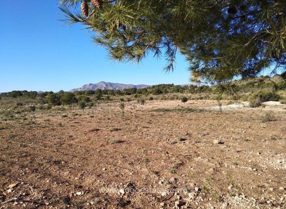 Venta - Parcela - Parcela residencial - Relleu - Relleu Centro