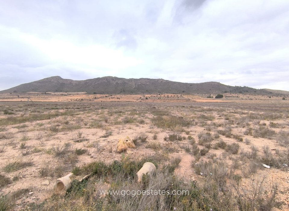 Venta - Parcela - San Javier - Roda