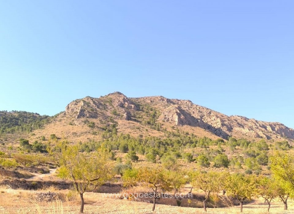 Venta - Parcela - Terreno - Algorfa - Algueña