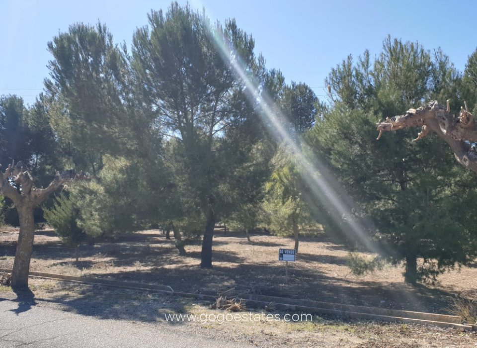 Venta - Parcela - Terreno - Beneixama - Beneixama Centro