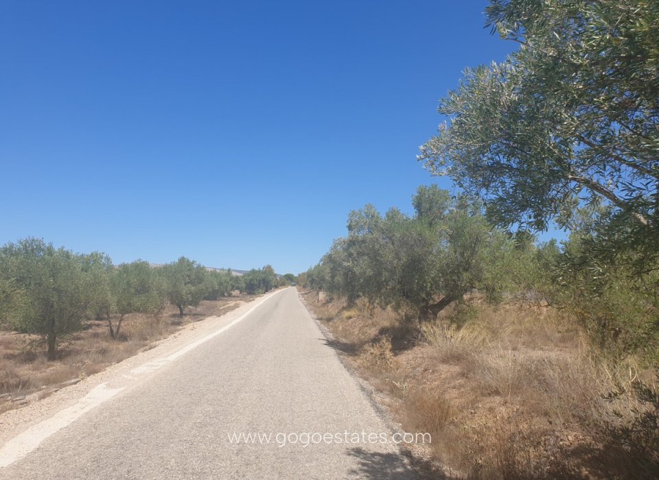 Venta - Parcela - Terreno - Biar - Biar Centro