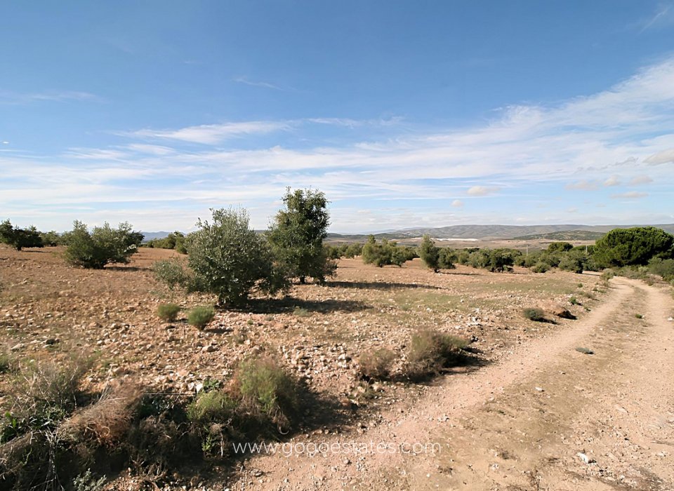 Venta - Parcela - Terreno - Biar - Biar Centro