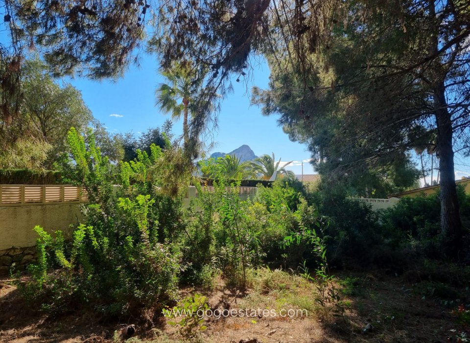 Venta - Parcela - Terreno - Calpe - Calpe Centro