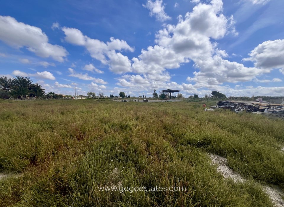 Venta - Parcela - Terreno - Catral - Catral Centro