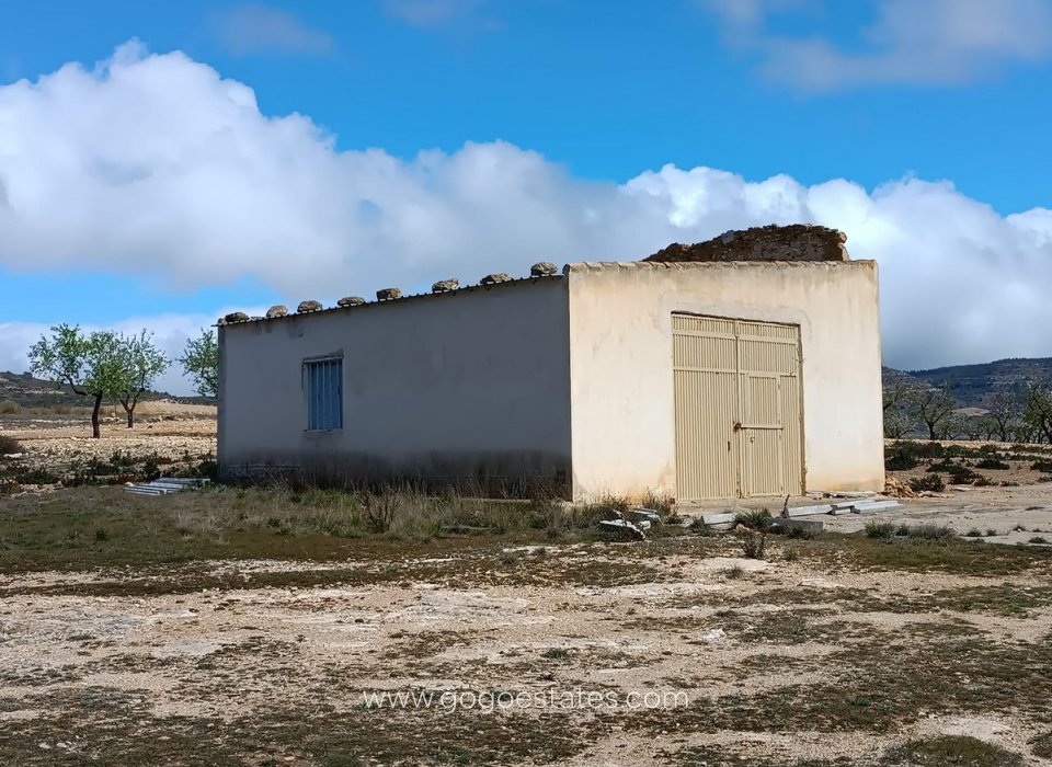 Venta - Parcela - Terreno con Ruina - Yecla - Yecla Centro