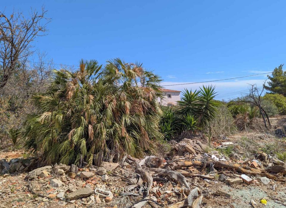 Venta - Parcela - Terreno - Dénia - Denia Centro