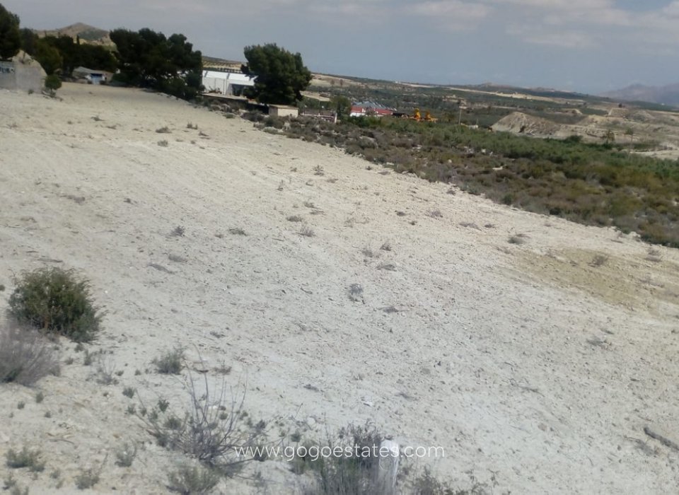 Venta - Parcela - Terreno - Fortuna - Fortuna Centro