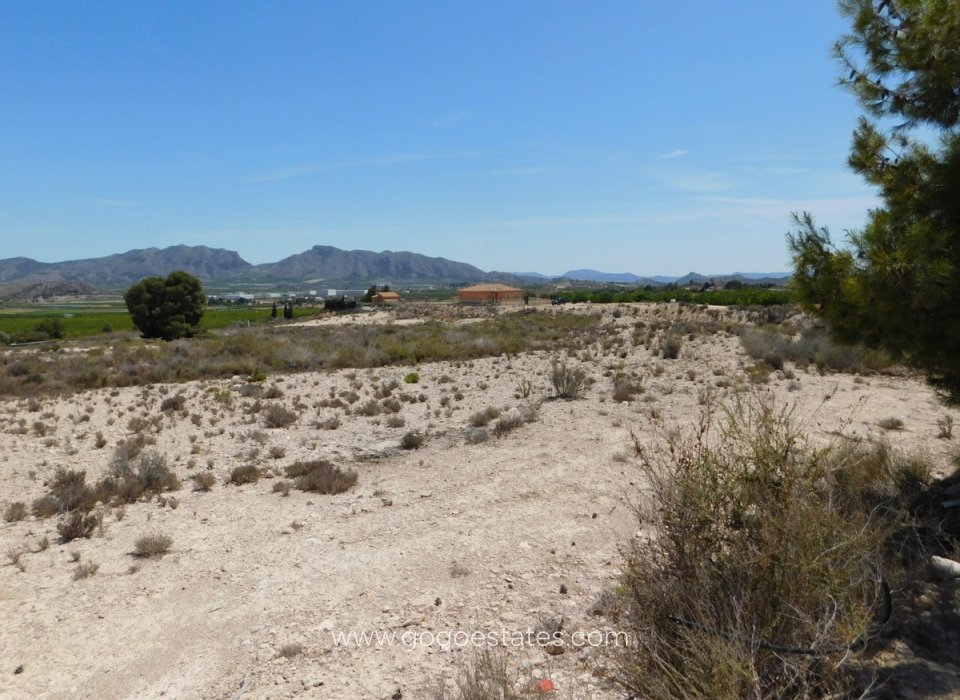 Venta - Parcela - Terreno - Fortuna - Fortuna Centro