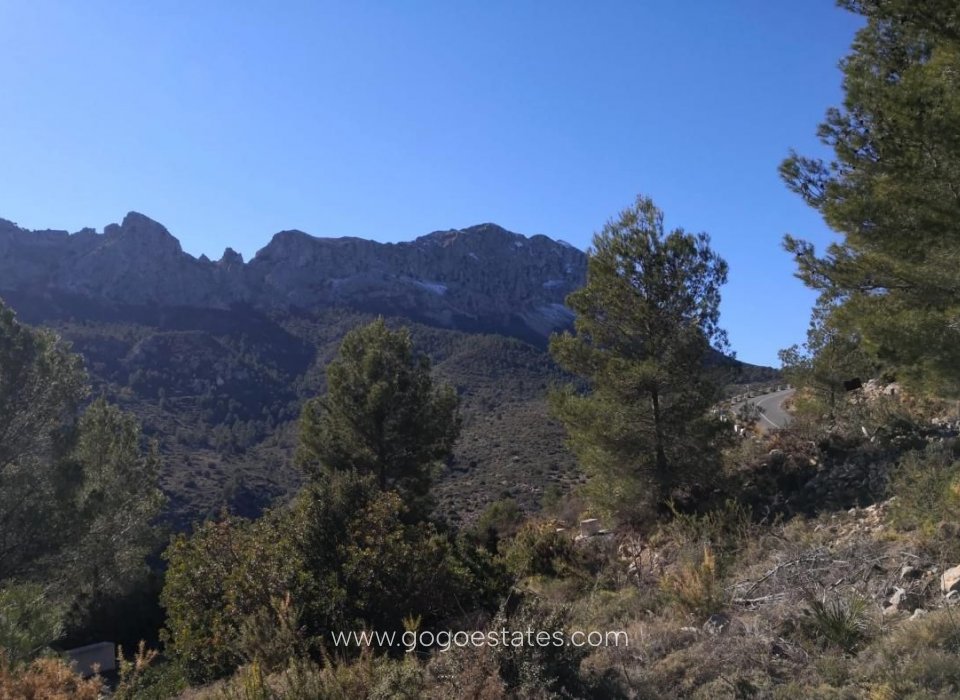 Venta - Parcela - Terreno - Jalon - Bernia