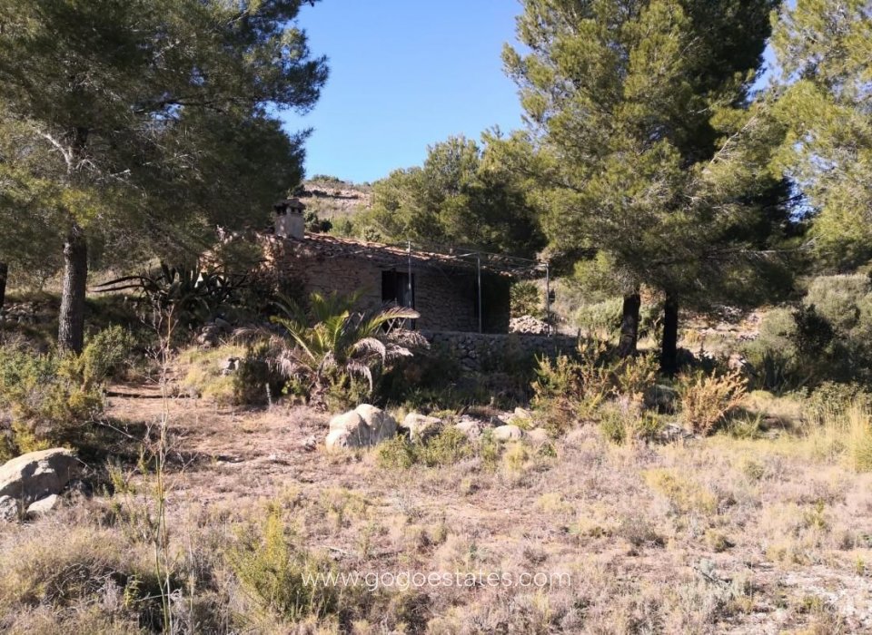 Venta - Parcela - Terreno - Jalon - Bernia