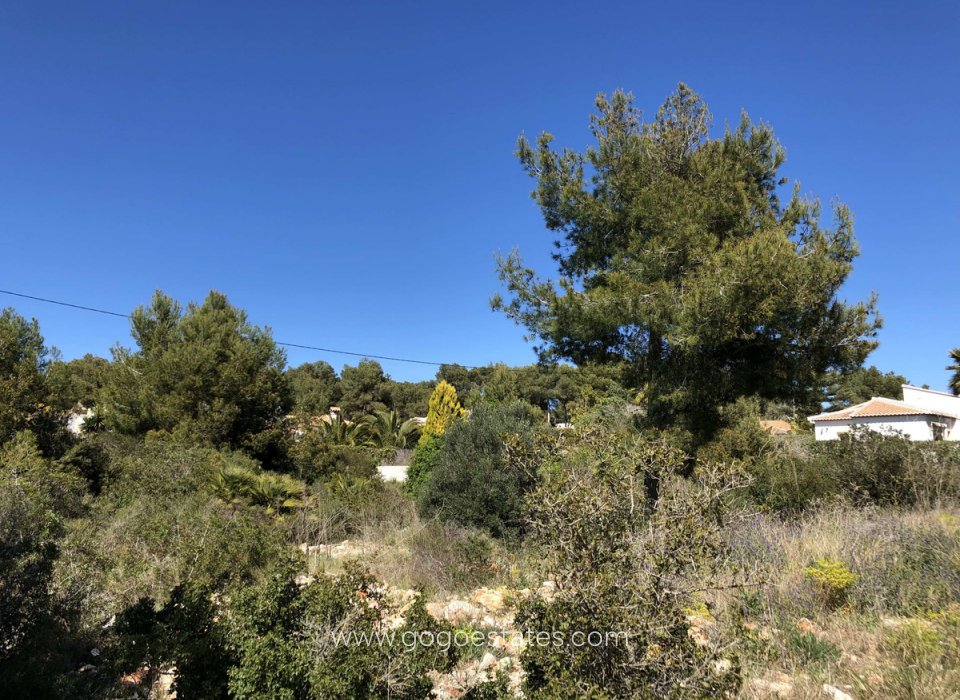 Venta - Parcela - Terreno - Jávea Xàbia - Jávea - Xàbia Centro