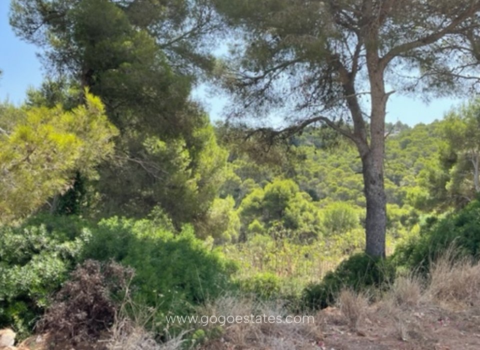 Venta - Parcela - Terreno - Jávea Xàbia - Jávea - Xàbia Centro