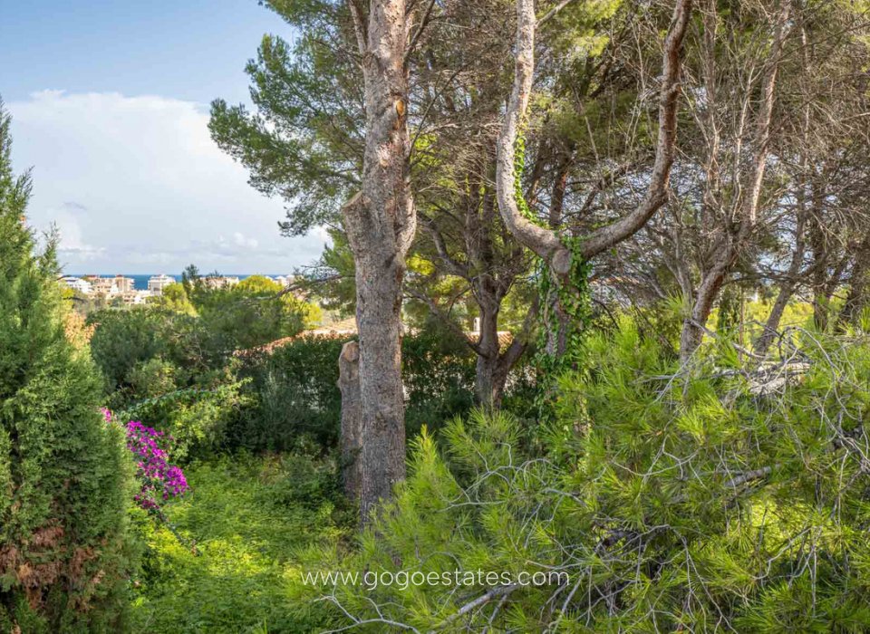 Venta - Parcela - Terreno - Jávea Xàbia - Jávea - Xàbia Centro