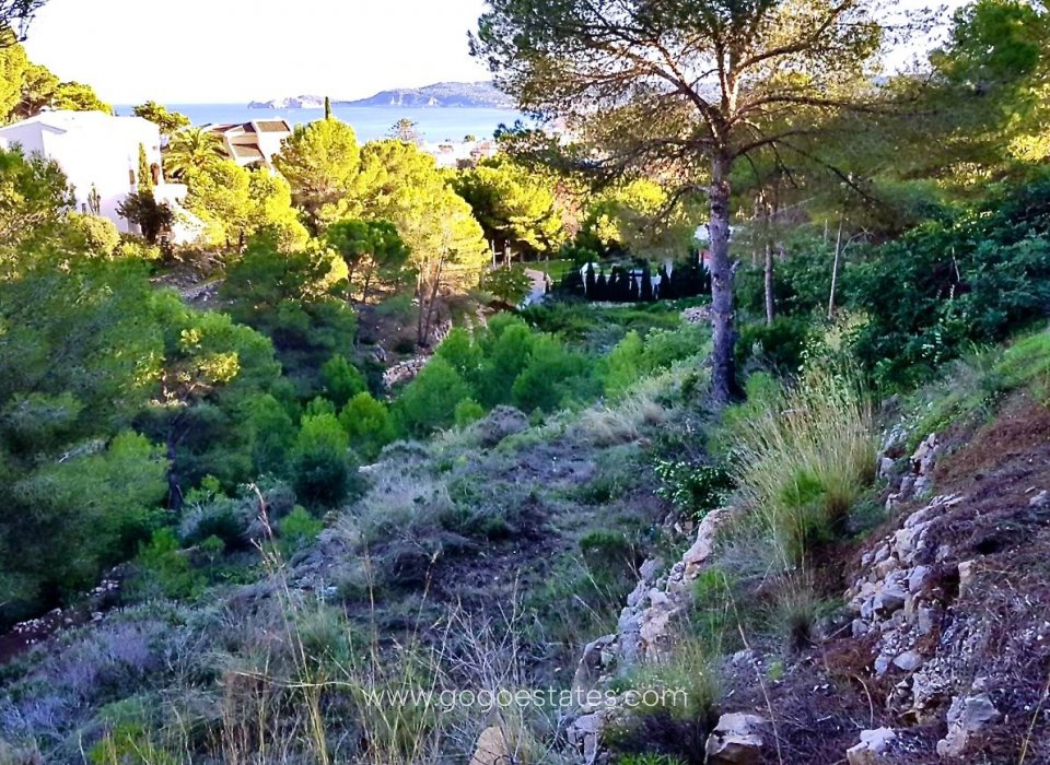 Venta - Parcela - Terreno - Jávea Xàbia - Jávea - Xàbia Centro