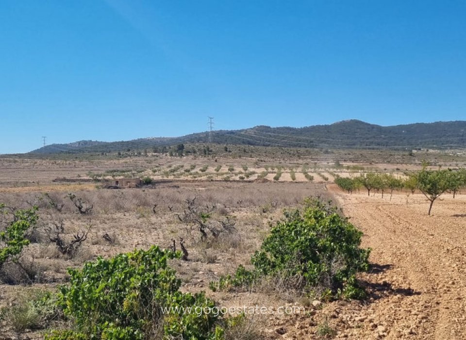 Venta - Parcela - Terreno - Jumilla - Jumilla Centro