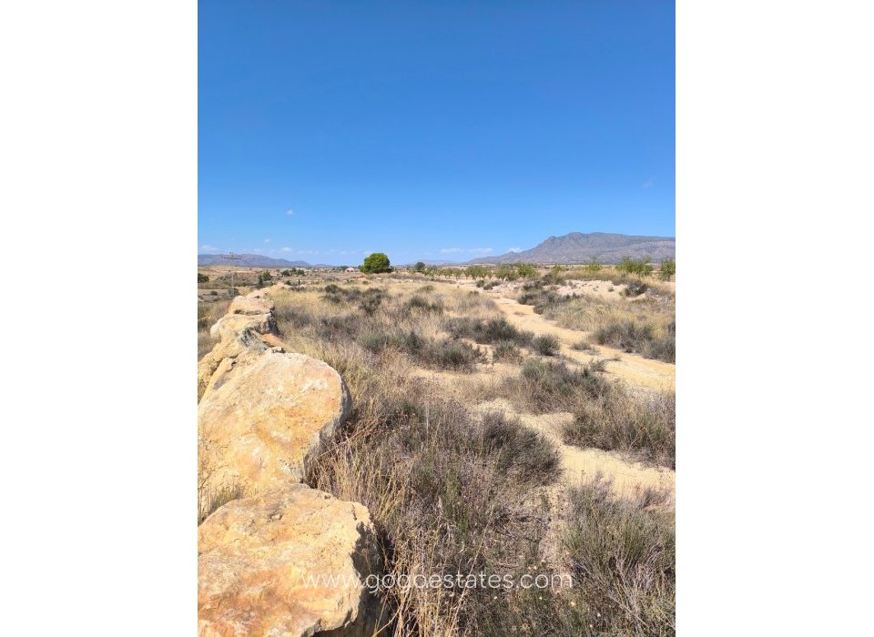 Venta - Parcela - Terreno - Jumilla - Jumilla Centro