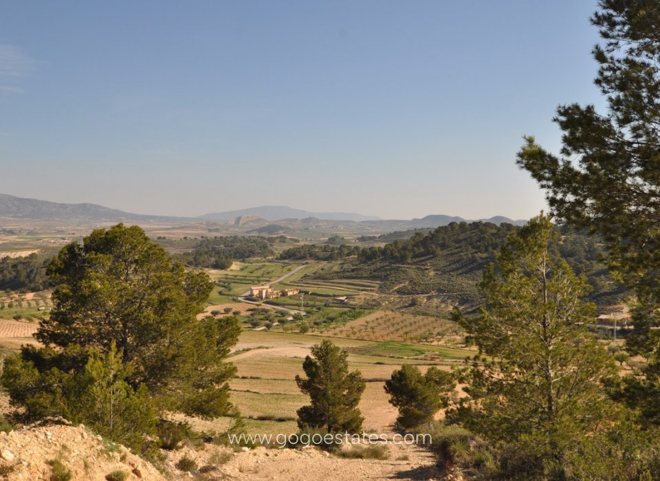 Venta - Parcela - Terreno - Jumilla - La Zarza