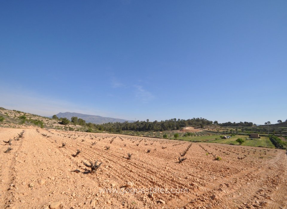 Venta - Parcela - Terreno - Jumilla - La Zarza