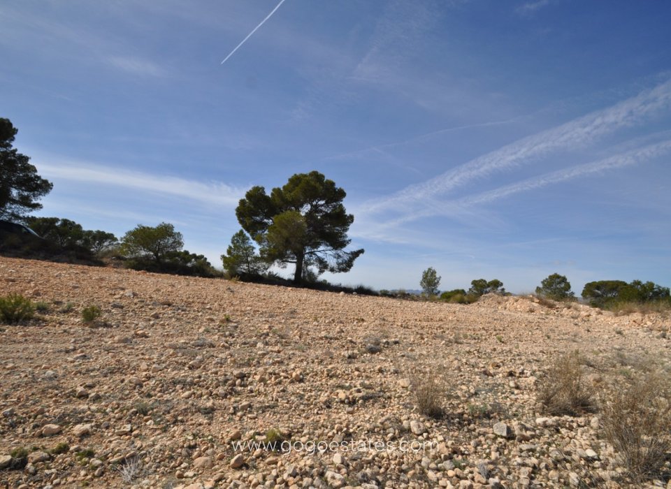 Venta - Parcela - Terreno - Jumilla - La Zarza