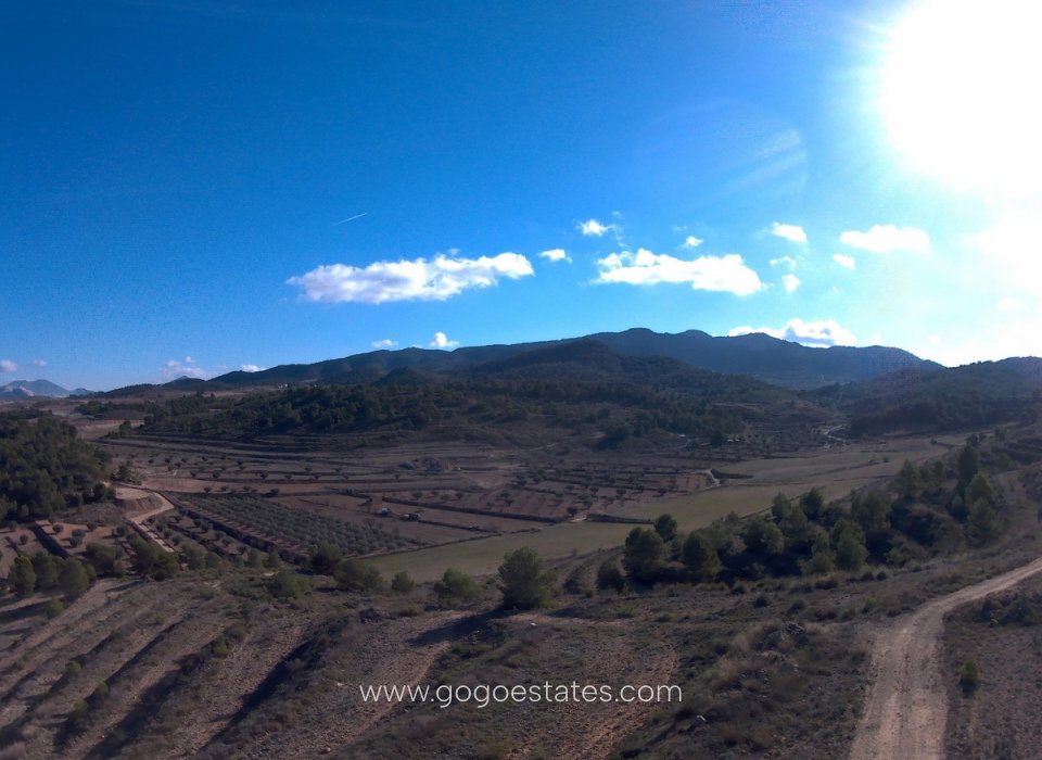 Venta - Parcela - Terreno - Jumilla - La Zarza