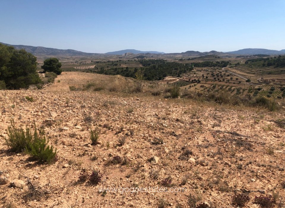 Venta - Parcela - Terreno - Jumilla - La Zarza